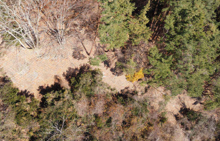 上積翠寺地区予防治山工事